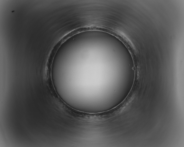 X0000089340876200706290959