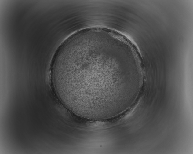 X0000089340879200706290959