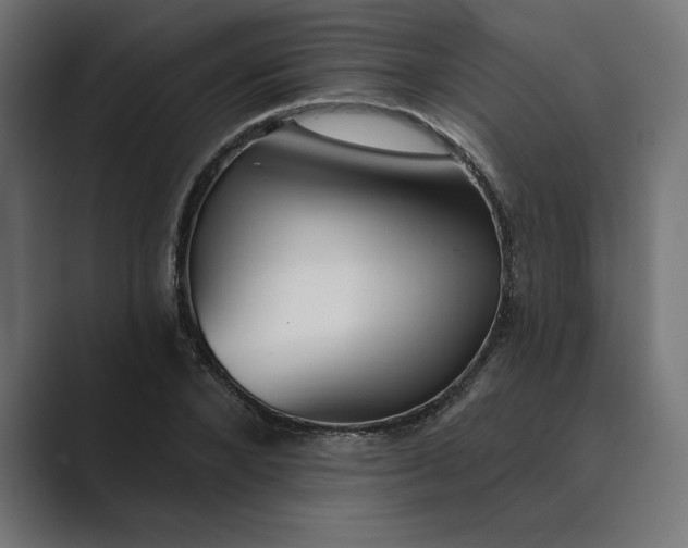 X0000089340880200706290959