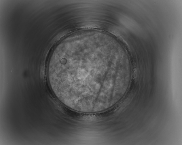 X0000089340882200706290959
