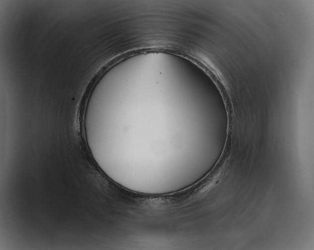 X0000089340883200706290959