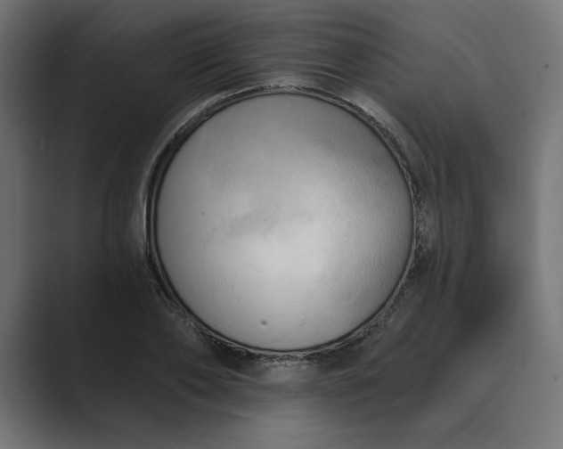 X0000089340886200706290959