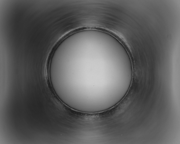 X0000089340887200706290959