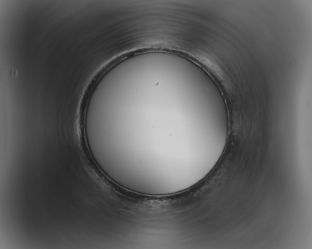 X0000089340888200706290959
