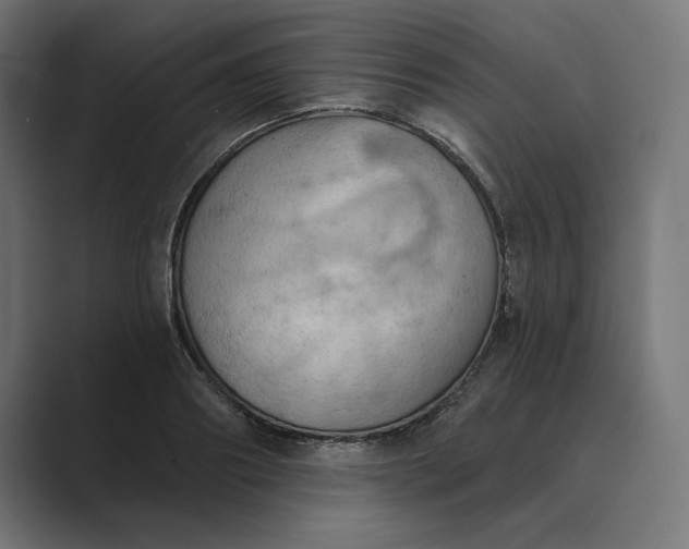 X0000089340890200706290959