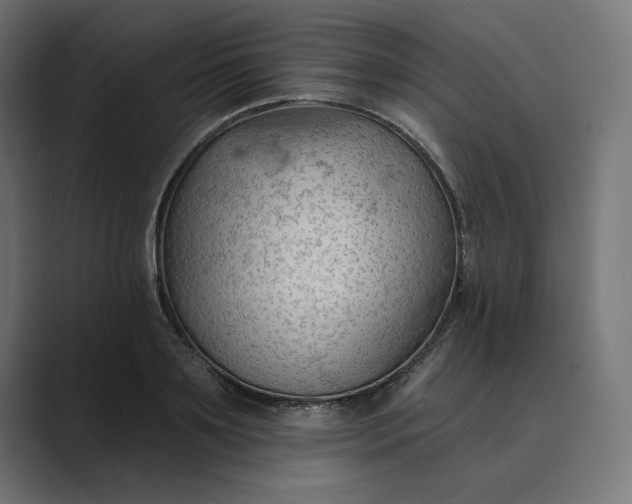 X0000089340891200706290959