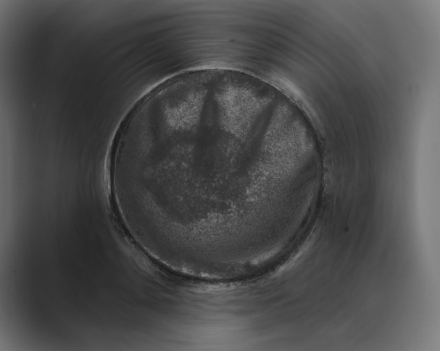 X0000089340892200706290959