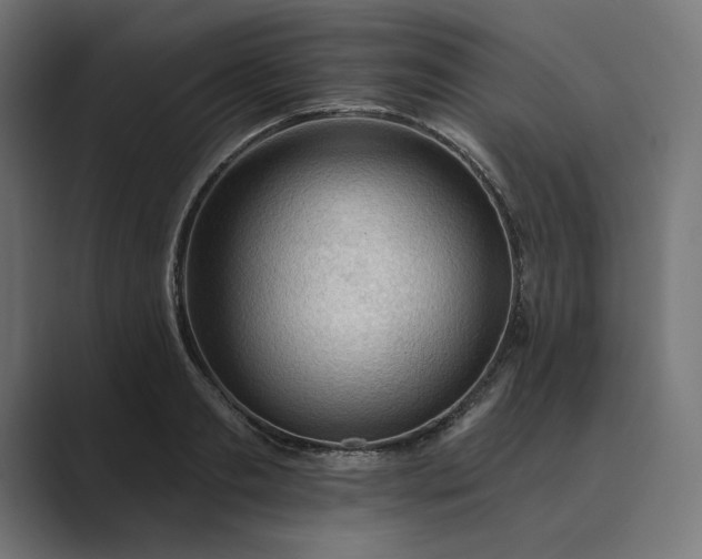 X0000089340893200706290959