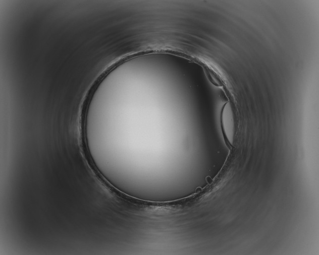 X0000089340894200706290959