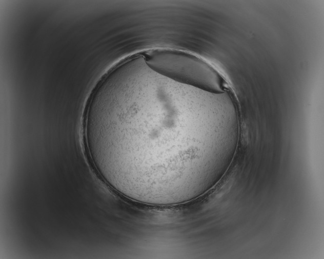 X0000089340895200706290959