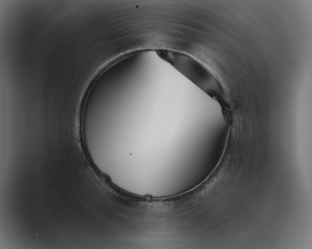 X0000089340896200706290959