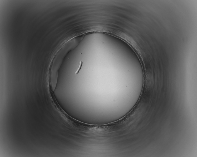 X0000089340898200706290959