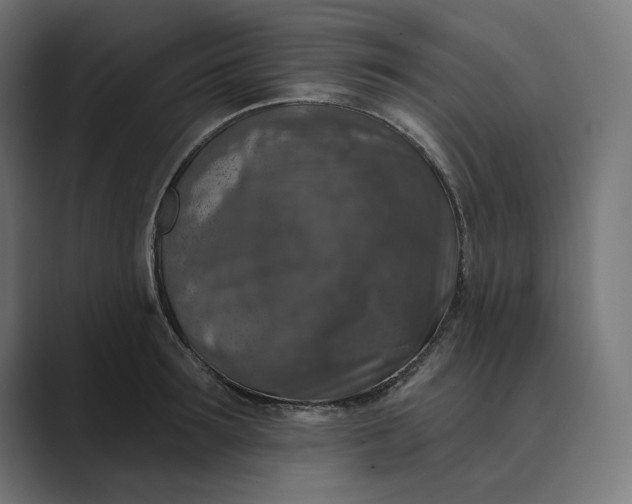 X0000089340899200706290959
