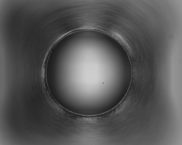 X0000089340900200706290959