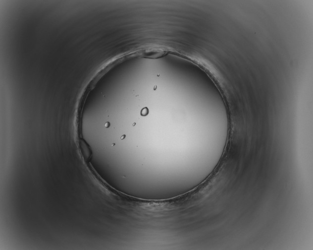 X0000089340902200706290959
