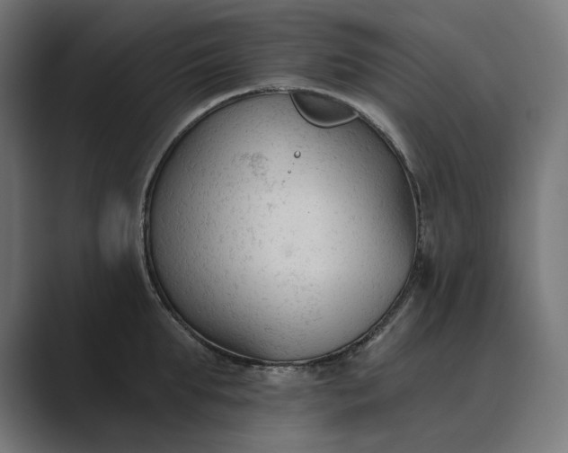 X0000089340903200706290959