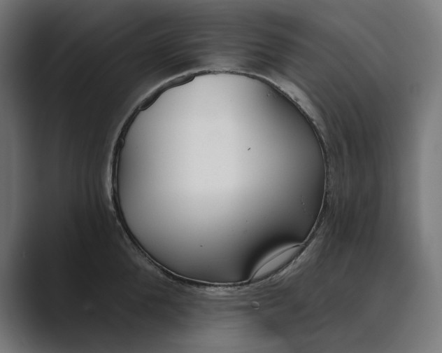 X0000089340904200706290959