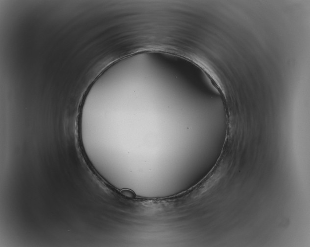 X0000089340906200706290959