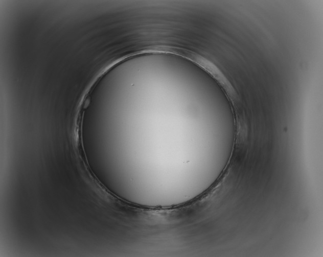 X0000089340908200706290959