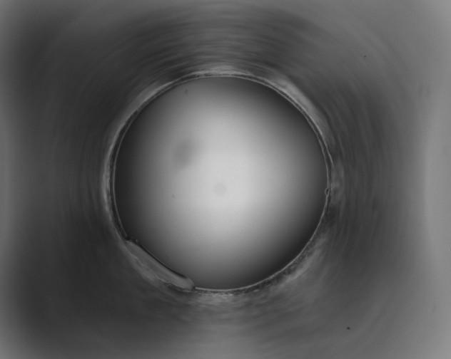 X0000089340909200706290959