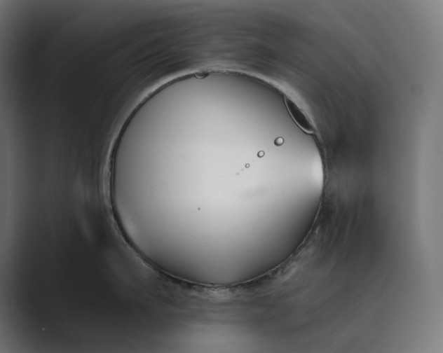 X0000089340911200706290959