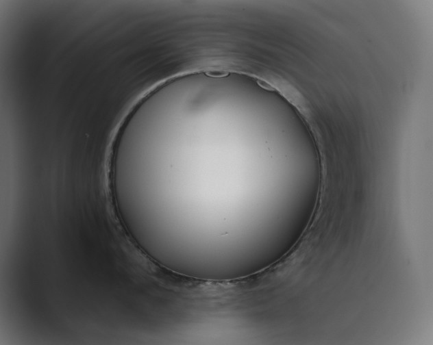 X0000089340912200706290959