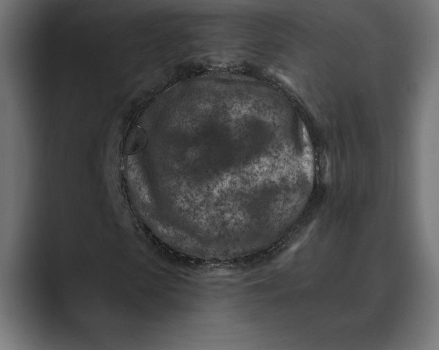 X0000089340913200706290958
