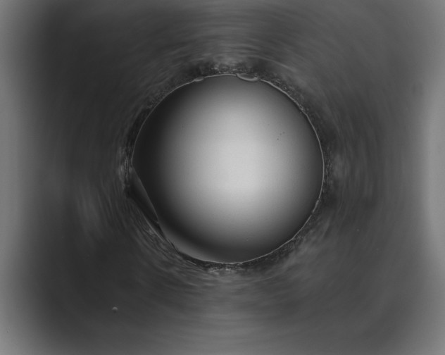 X0000089340914200706290958