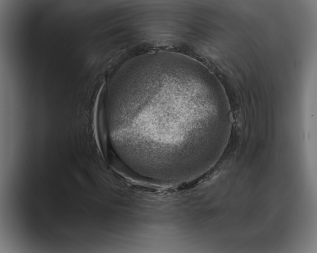 X0000089340916200706290958