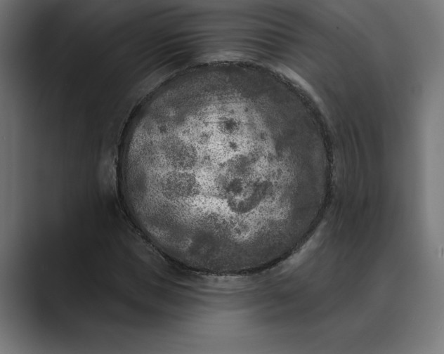 X0000089340921200706290958