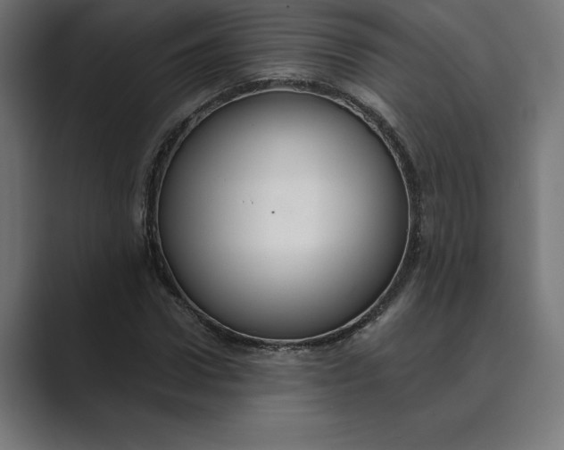 X0000089340922200706290958