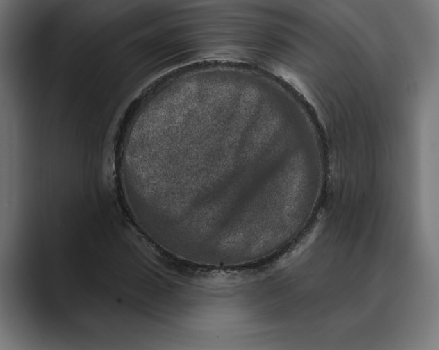 X0000089340923200706290958