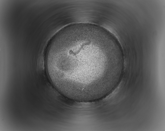 X0000089340925200706290958