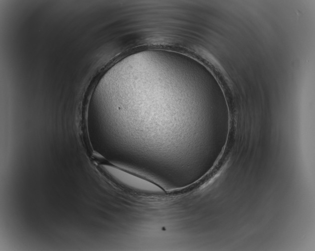 X0000089340930200706290958