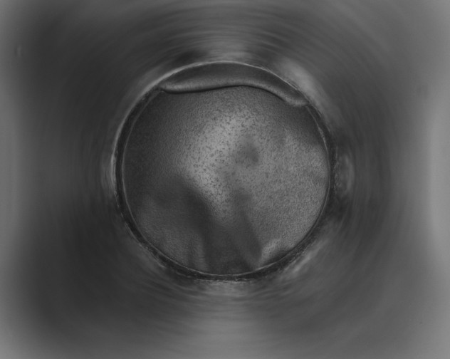 X0000089340932200706290958