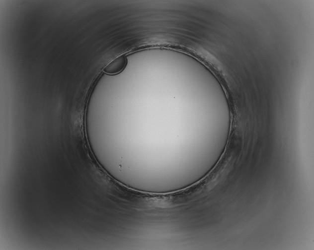 X0000089340937200706290958