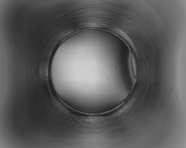 X0000089340938200706290958