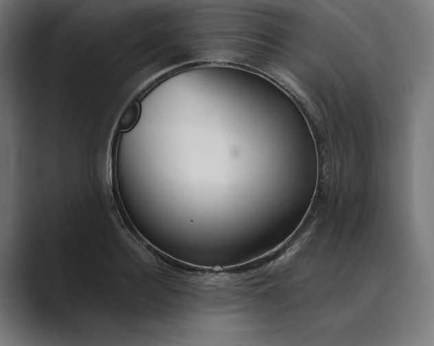 X0000089340940200706290958