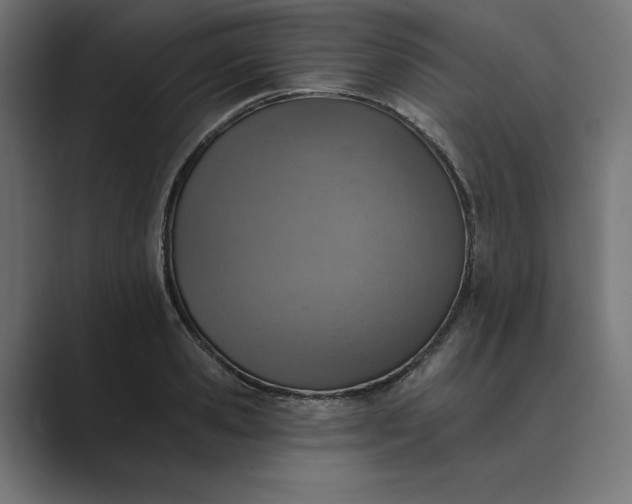 X0000089340941200706290958