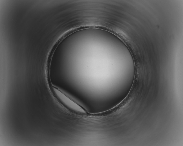 X0000089340942200706290958