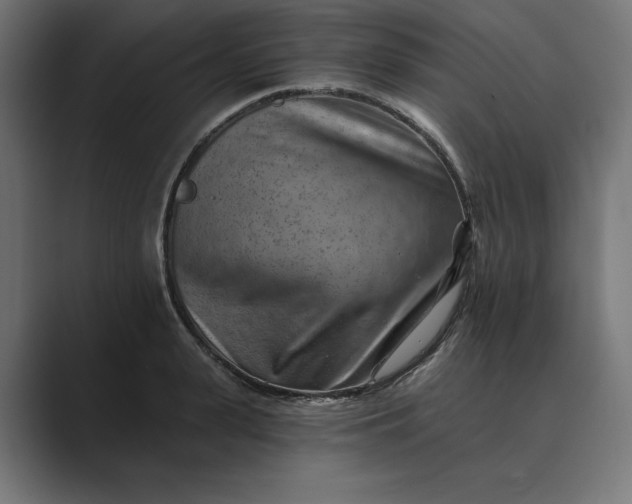 X0000089340943200706290958