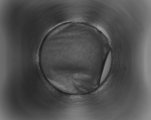 X0000089340944200706290958