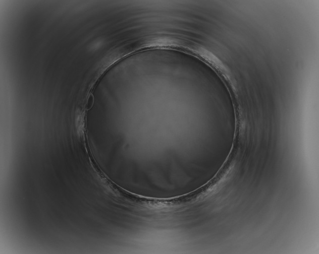X0000089340945200706290958