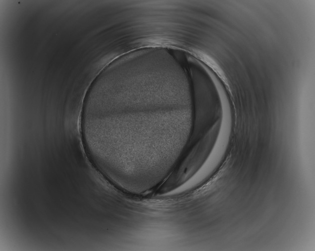 X0000089340946200706290958