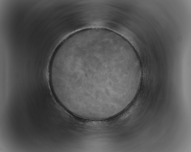 X0000089340950200706290958