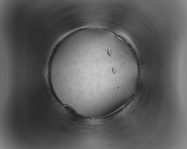 X0000089340952200706290958