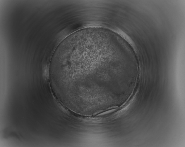 X0000089340953200706290959