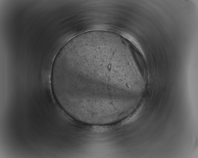 X0000089340954200706290959