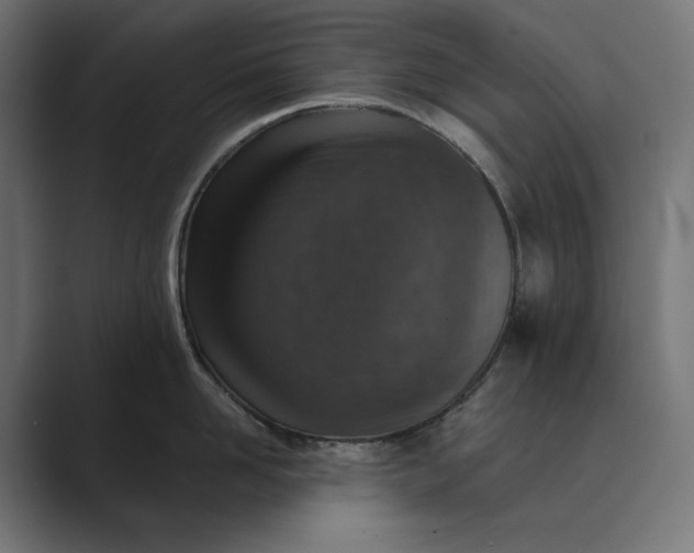 X0000089340958200706290959