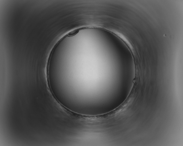 X0000089340959200706290959